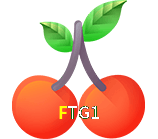 FTG1