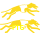  FTG1
